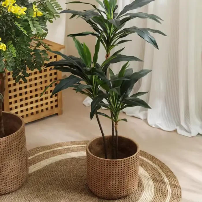 Grand Pot de fleur en bambou et boue de magnésium