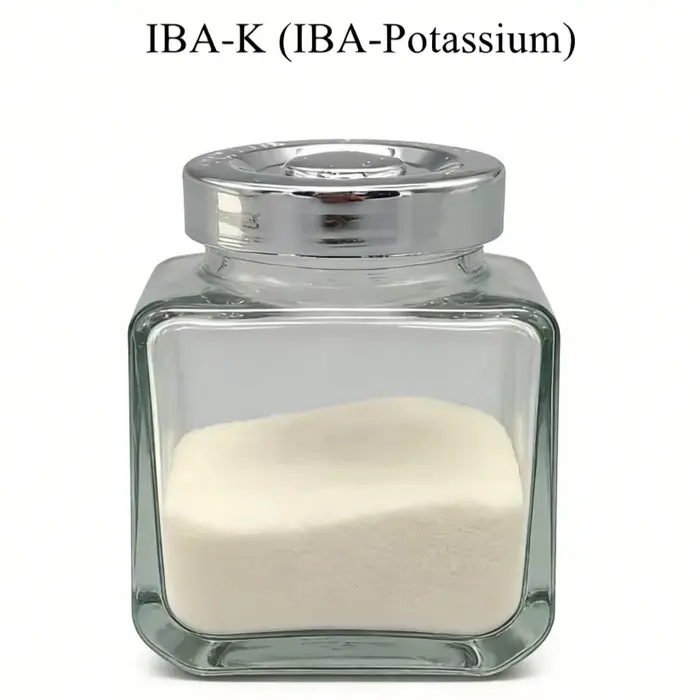Acide indole-3-butyrique potassium IBA-K, acide 3-indolebutyrique potassium soluble dans l'eau, auxi