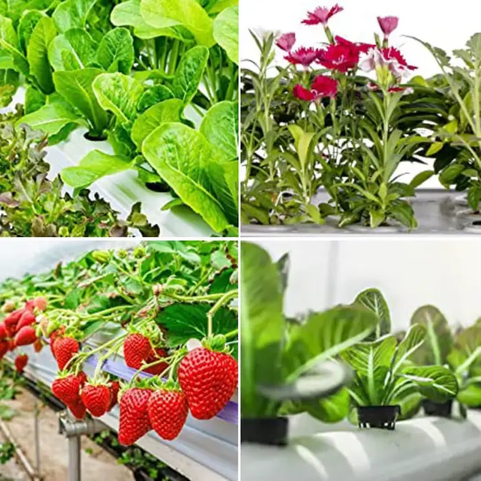 Filet de Pot hydroponique, 25 pièces, filet en maille sans sol, panier de plantes, légumes, tasse de