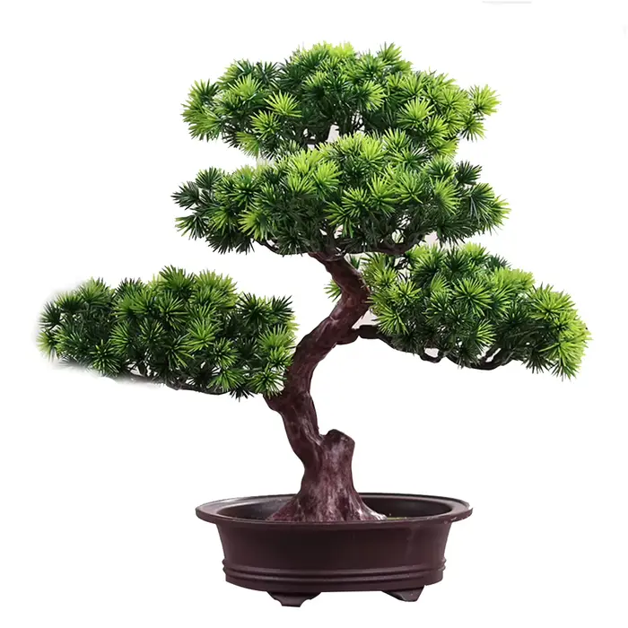 Bonsaï Éldécoratif en pot