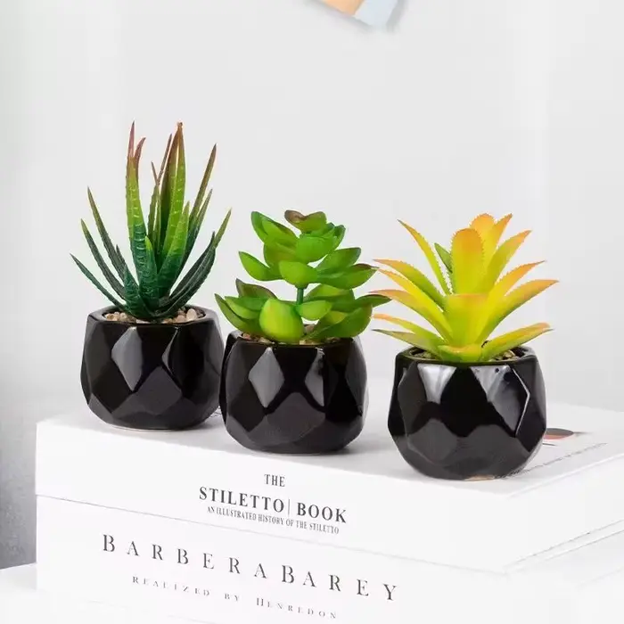 Plantes bonsaï succulentes artificielles avec Pot en poterie