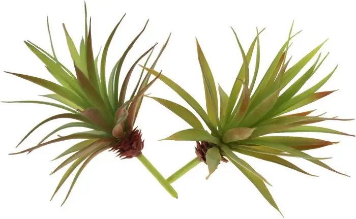 2 Pièces de Plantes Artificielles Succulentes Yucca Vera, Petites Plantes Non Potées pour la Décorat