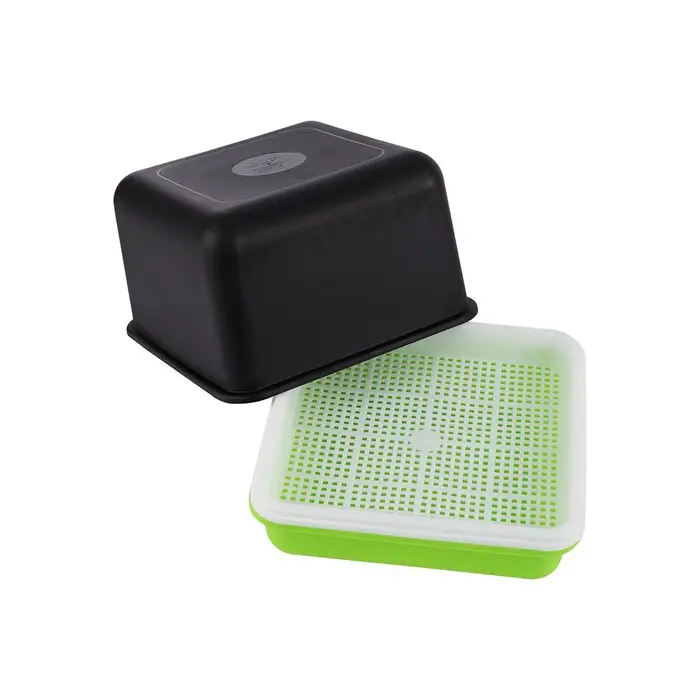 Plante hydroponique de germes de haricots, culture d'eau sans sol, fournitures de jardin, Pot de pla