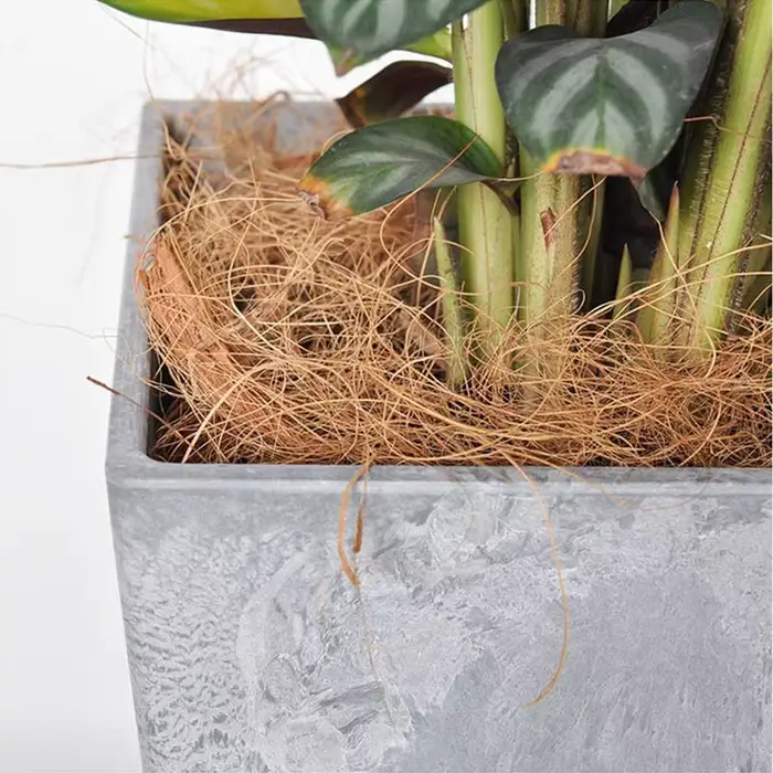 Couverture de pot de fleurs en Fiber de noix de coco naturelle