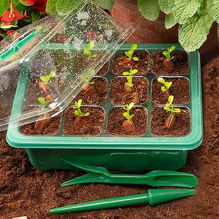Kit de boîte de culture de jardinage, plateau de démarrage de graines, lumière de croissance LED, pl