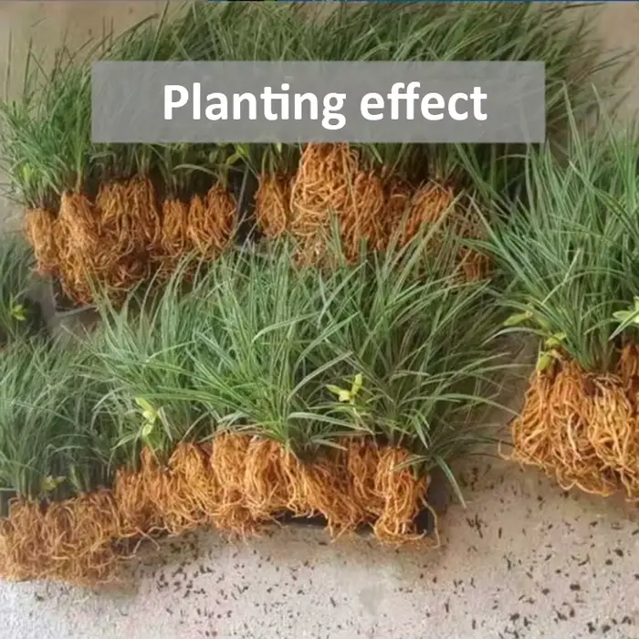 Navigateur de plantation de support d'orchidée à dégagement lent