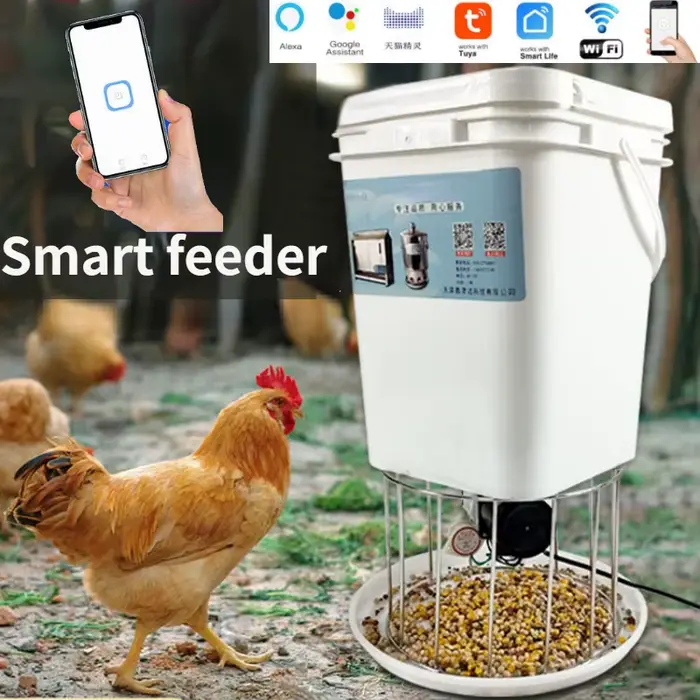 Mangeoire automatique pour poulets, support pour pigeons, canards, mangeoire pour pigeons, synchroni