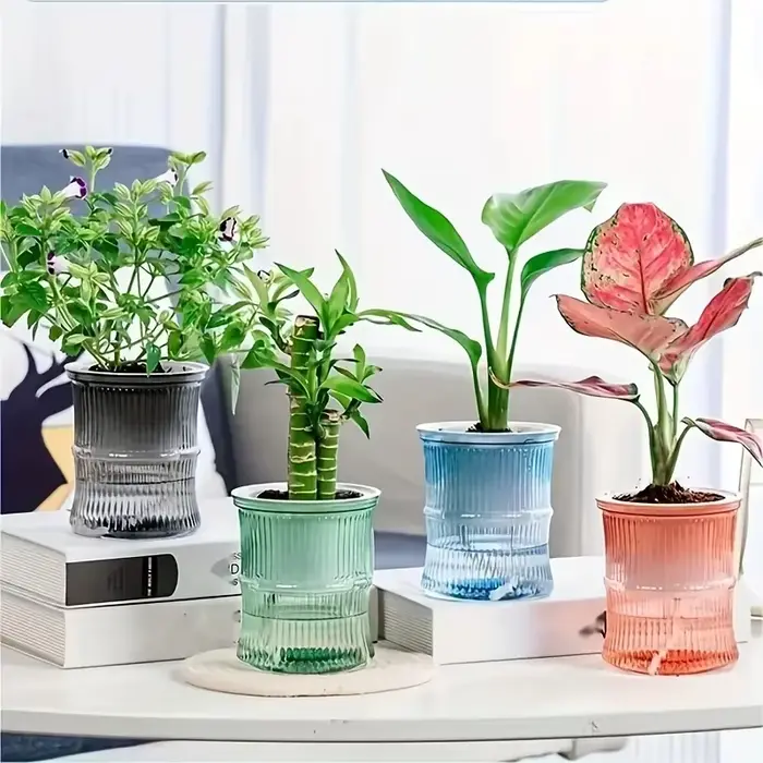 Pot de fleur hydroponique paresseux, Pot de fleurs automatique absorbant l'eau, Transparent, Double 