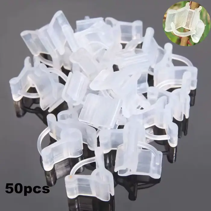 Clips de Greffe de Jardin en Plastique Transparent, Outils d'Ornements de user inage, Plantes de Fle