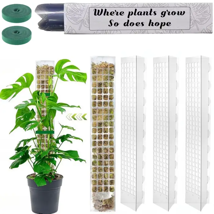 Support de plantes en plastique, poteau de mousse, plantes grimpantes d'intérieur, Tutors garantis, 