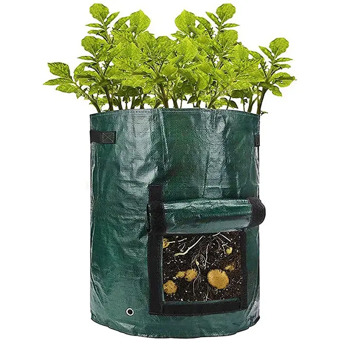 Sacs de culture de pommes de terre PE, jardinière de légumes, sac Lauren, pot de culture en tissu br