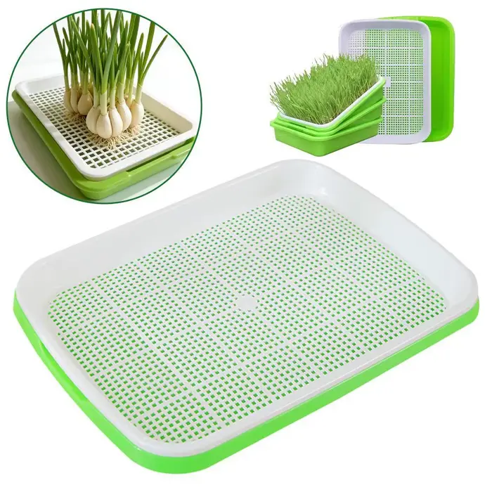 Plateau de germination hydroponique sans terre
