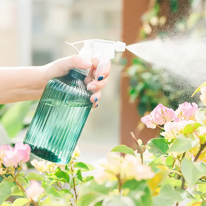 Arrosoir domestique de grande capacité de 500ml
