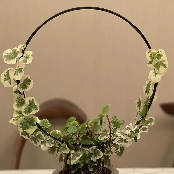 Support de plante grimpante en fer pour plantes grimpantes, avec revêtement antirouille noir pour fl