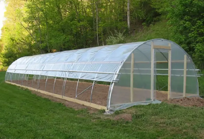 Film de serre en plastique transparent, 6.5 pi x 32 pi, 3.1 mil, polyéthylène, pour tunnel de croiss