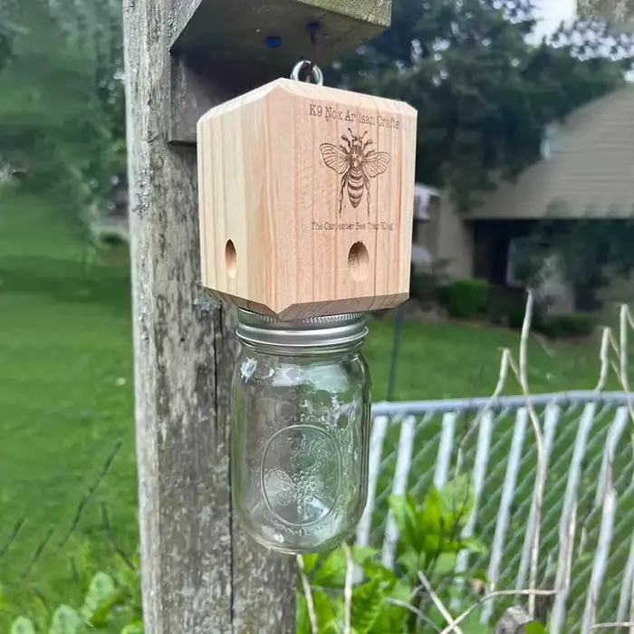 Piège à abeilles de charpentier pour l'extérieur, piège à abeilles de charpentier suspendu en bois d
