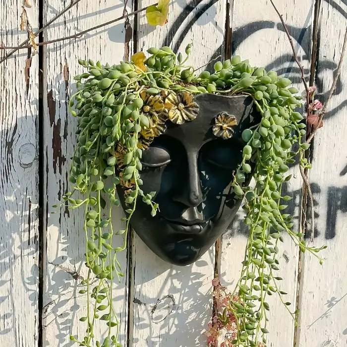 Pot de fleurs mural créatif en forme de visage, décoration murale artistique, idéal pour l'agencemen