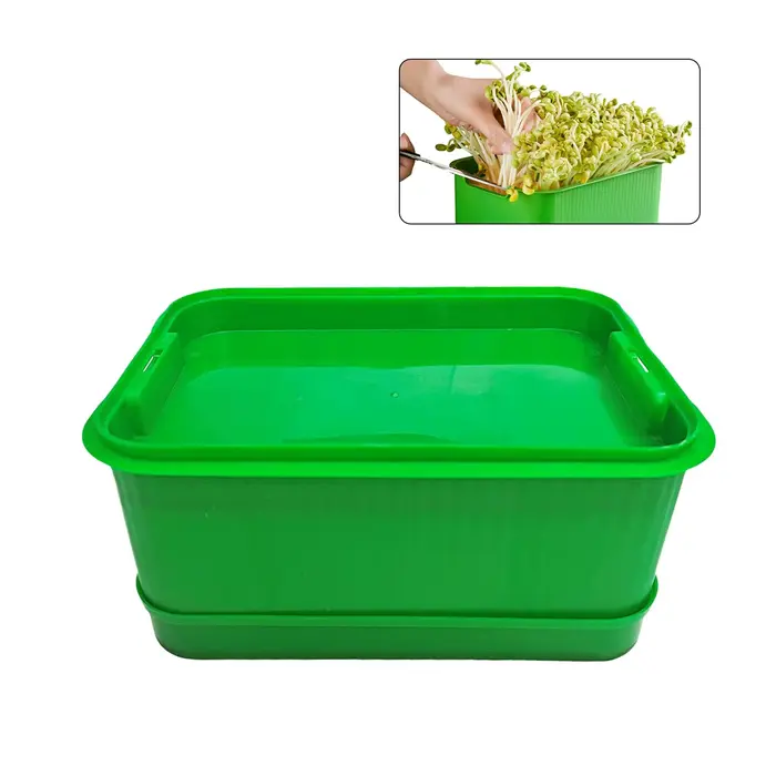Pot de culture pour pousses de haricots, conteneur pour la germination des haricots de soja et des h
