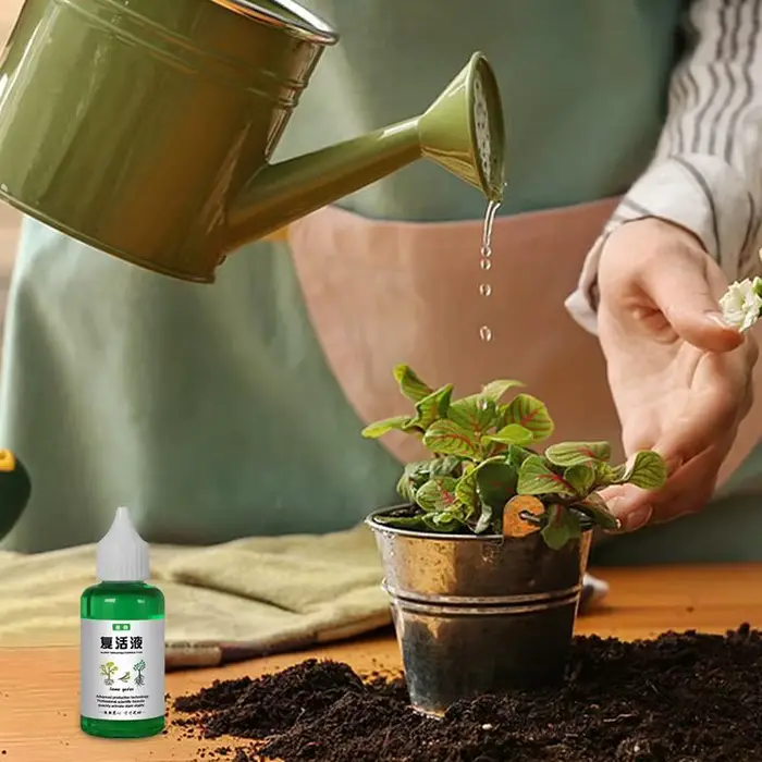 Liquide de rechapage manuel pour plantes