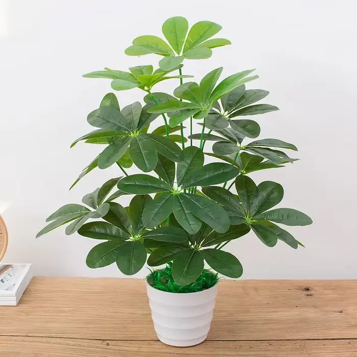 Arbre Monstera en plastique sans Pot d'aloès vert