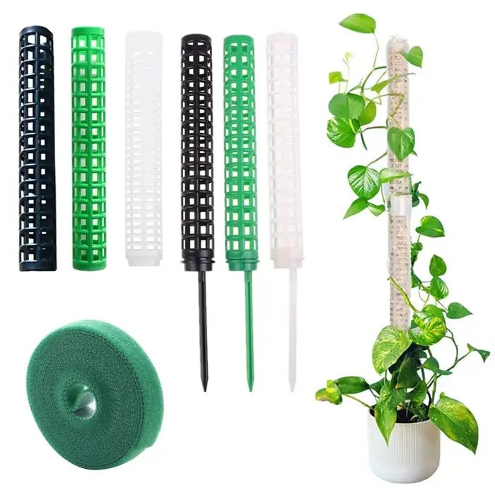 Bâton d'escalade pour plantes, Support pour plantes sphagnes, cadre en treillis, colonne de mousse d