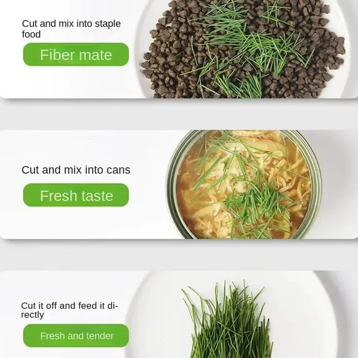 Nouveau plat de germe de chat pour animaux de compagnie Pot de culture plante hydroponique