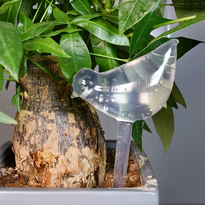 Globes d'arrosage automatique en forme d'oiseau de jardin
