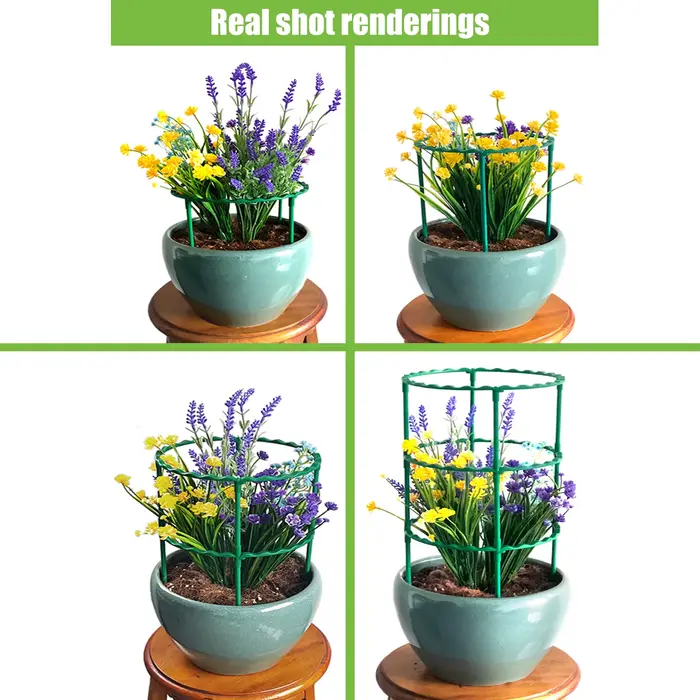 Support de vigne grimpante pour plantes en pot, cadre de Support en acier revêtu de plastique pour f