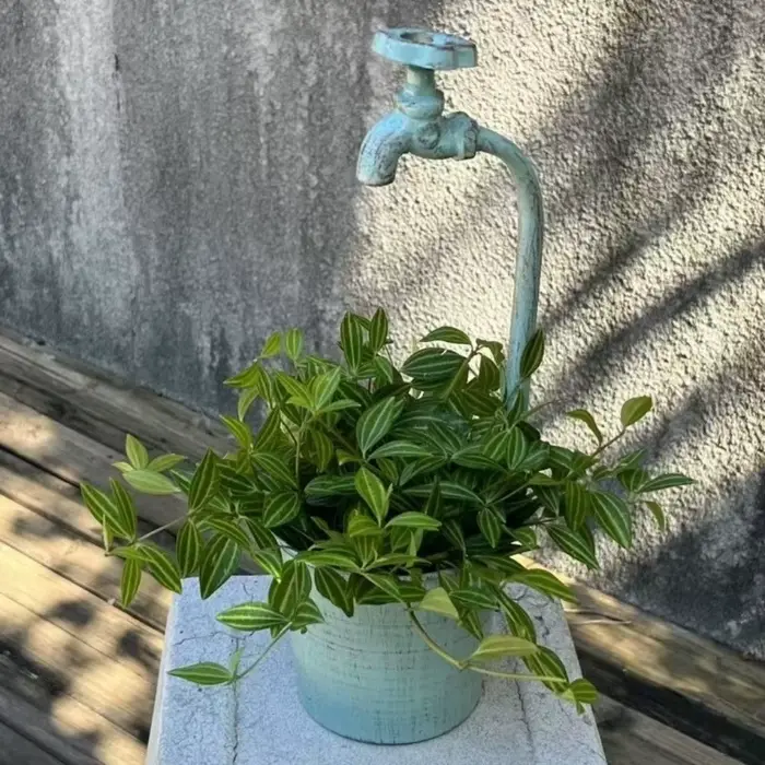 Pot de fleurs rustique en métal, résistant aux fissures, artistique, pour jardin, résistant à la cor