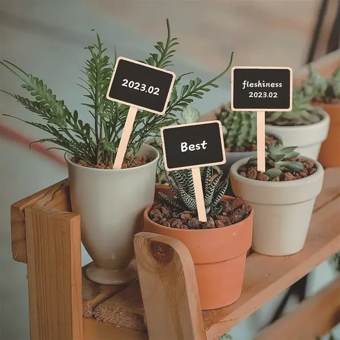 10 pièces-marqueurs de jardin créatifs pour plantes succulentes et fleurs-étiquettes de plantes de t