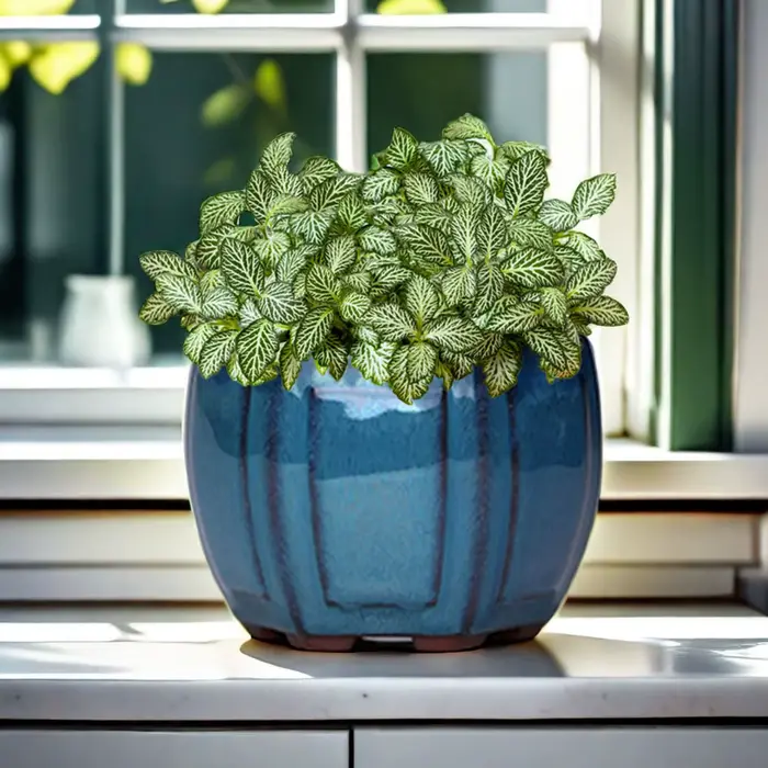 Pots de jardinières de jardin en céramique
