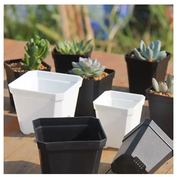 Mini Pots de fleurs en plastique