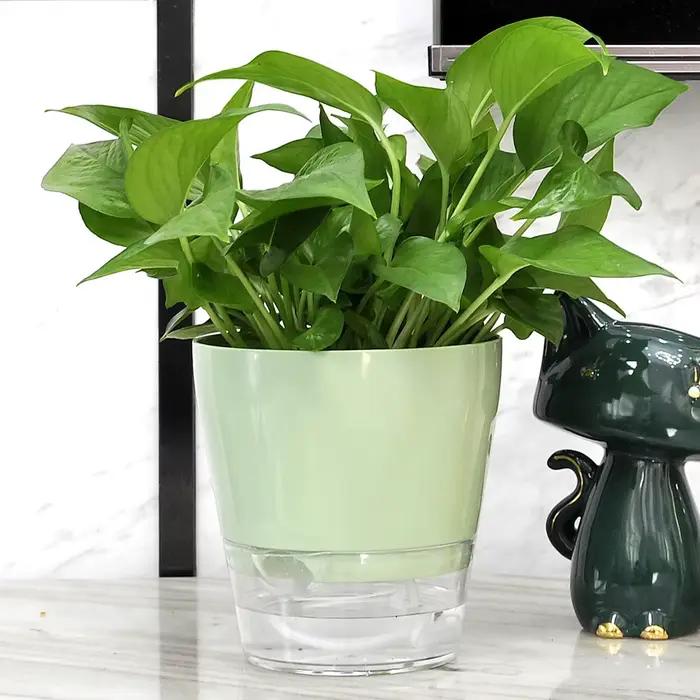 Pot de Fleur Paresseux avec Trou de Proximité pour Plantes d'Nik