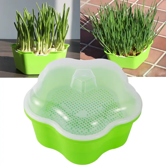Pot de plantation de germes