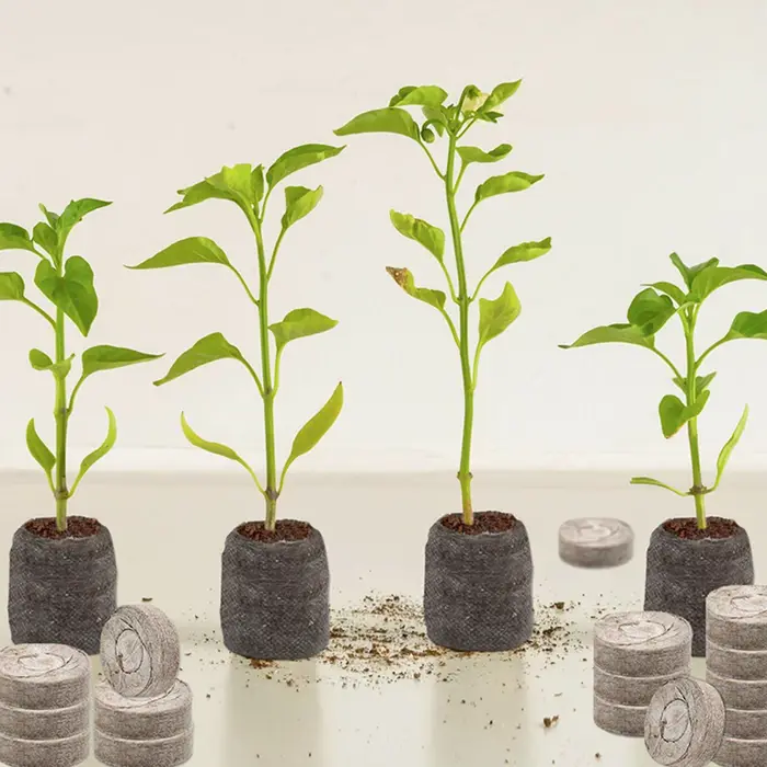 Substrat pour plantes, 100 pièces