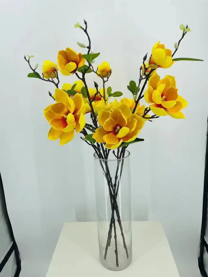 Simulation de fleur de magnolia d'intérieur