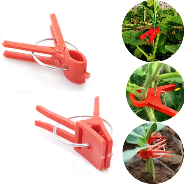 Pinces de support en plastique pour plantes de jardin, pinces anti-chute pour plantes, serre de vign