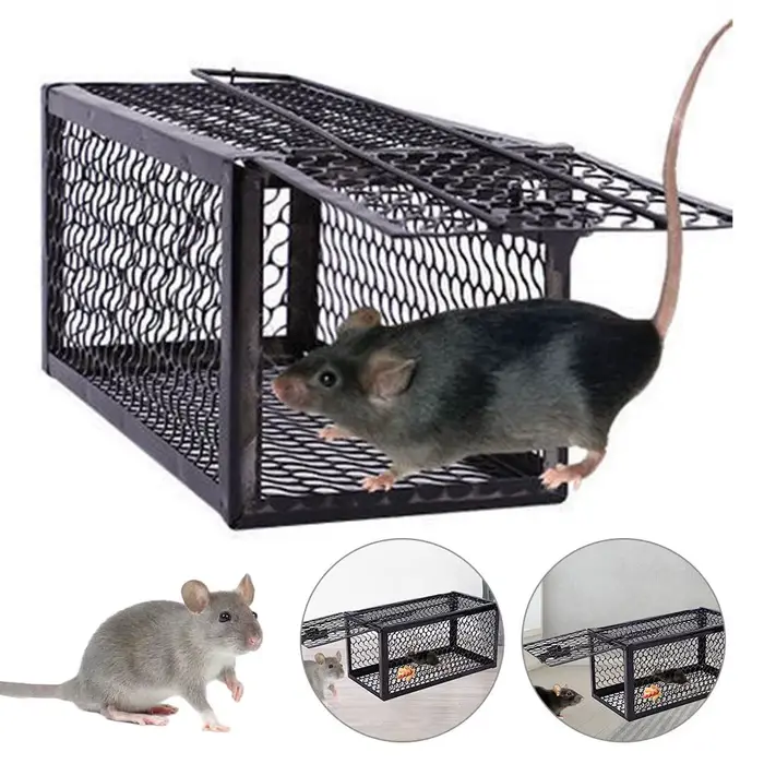Piège à souris autobloquant, filet en fer ferme et sûr, collecteur de souris domestique en métal réu