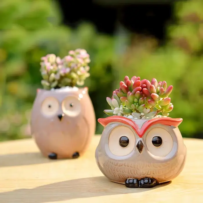 Pot de fleur hibou en céramique, décoration de jardin et de bureau, Mini pot de fleurs succulentes, 