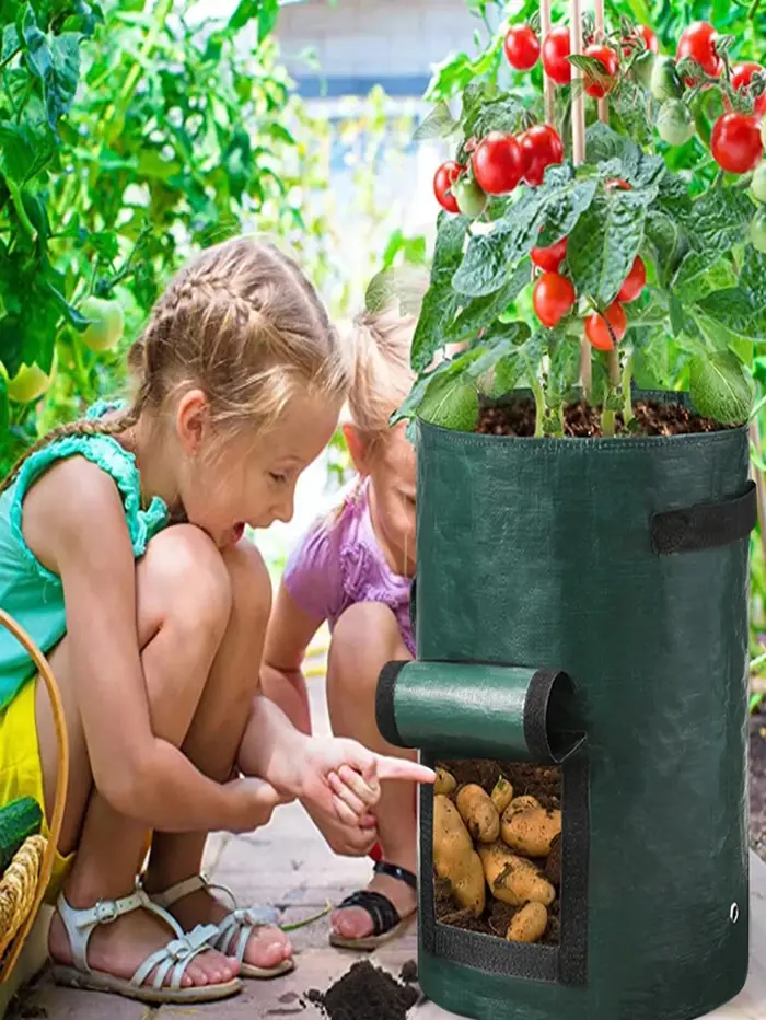 Sac de culture de plantes végétales, 5 pièces, fournitures de jardin, conteneur de plantation, Pot d