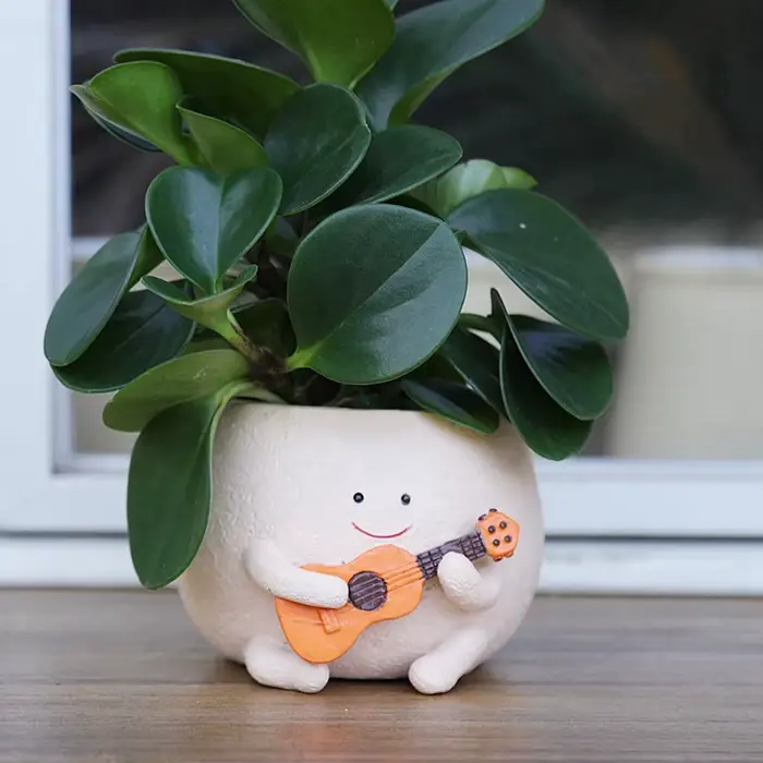 Pot de user inière avec Trou de Proximité, Visage Smily, Résine Mignonne pour Chaîne de Plantes, Pot