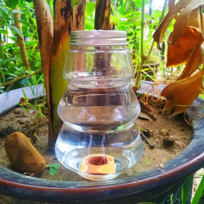 Outil d'arrosage automatique de jardin, système d'irrigation goutte à goutte d'intérieur, arroseurs 