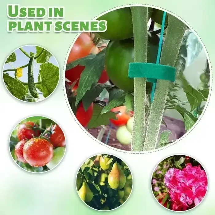Bandes de ruban de fixation réutilisables pour plantes, auto-adhésif, câble en nylon vert, crochet r