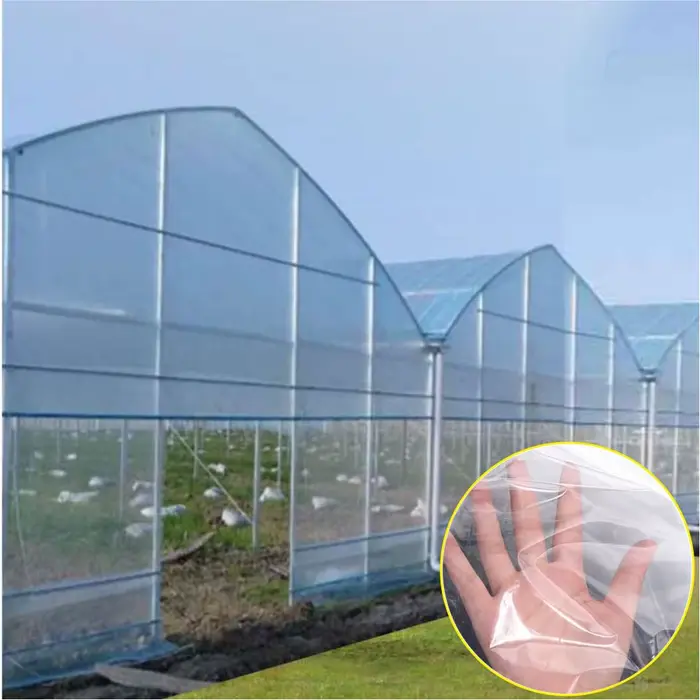 Film de protection pour serre de jardinage, GrowhIntroCovers, Cadre de protection pour plantes végét
