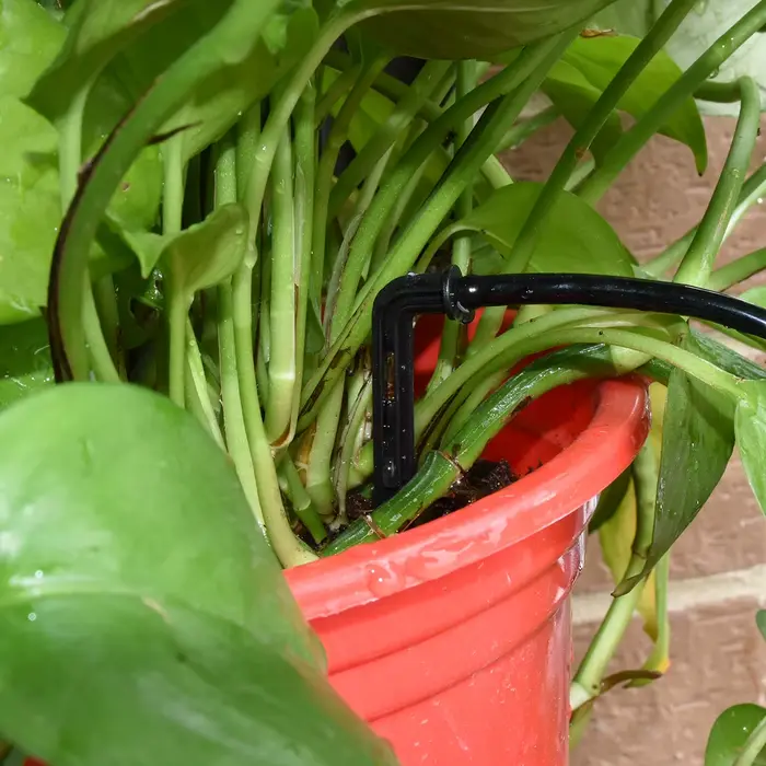 KESLA-Kit de système d'irrigation goutte à goutte pour serre, tuyau en PVC 8H, perforateur de jardin