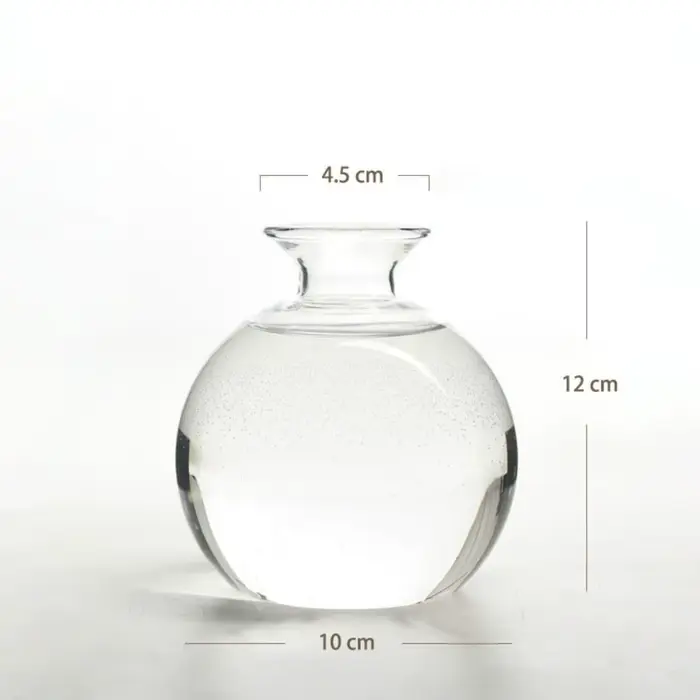 Vase hydroponique transparent pour les cadres, bouteille d'aromathérapie, vase de démarrage pour les