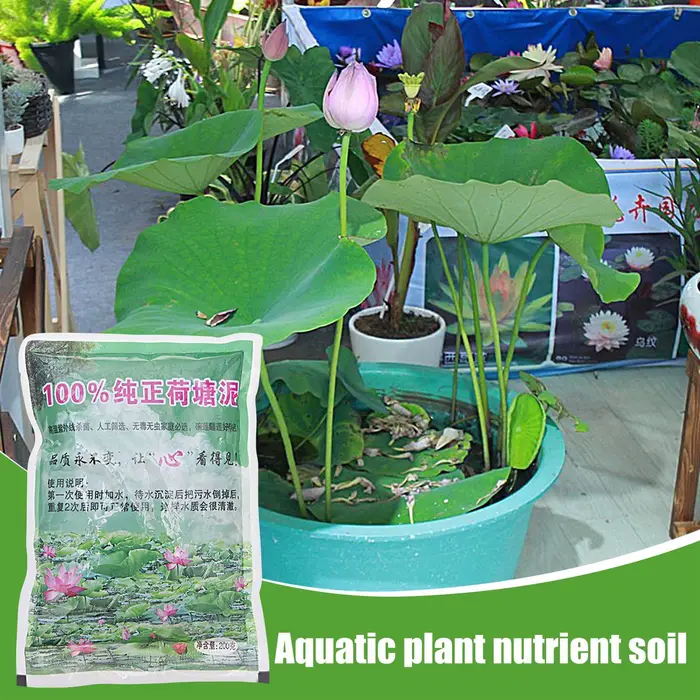 200g naturel Lotus étang boue jardin furtile aquatique bonsaï fleur sol nutritif pour bol spécial