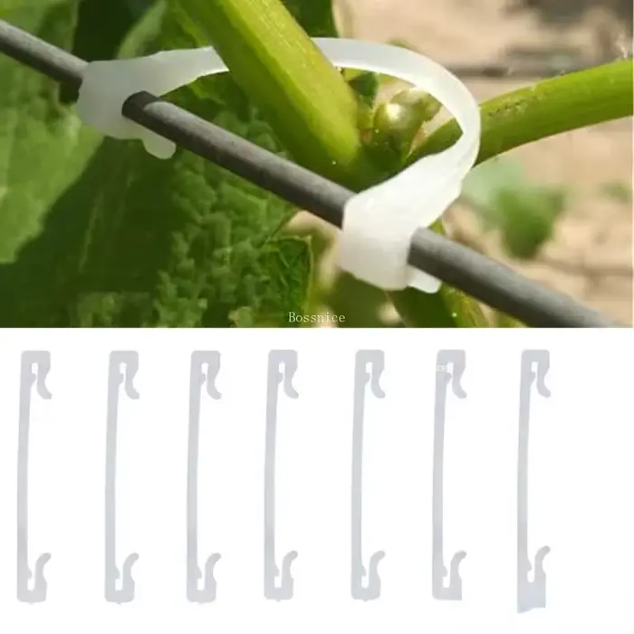 Clips de Support pour plantes en plastique, 50 à 400 pièces, 6CM, Clips de fixation pour tomates et 