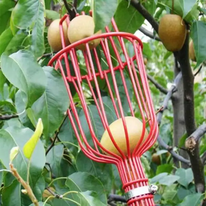 Tête de cueilleur de fruits en panier profond, cueilleur de fruits pratique, cueillette de pommes et