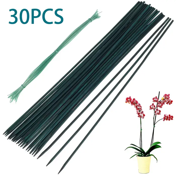 30 pièces bambou vert bâtons plante Support fleur bâton orchidée tige plante bâtons pour soutenir pl